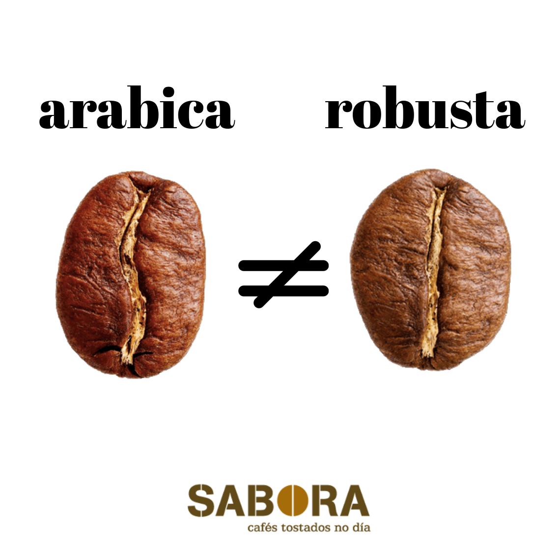 cual-es-la-diferencia-entre-cafe-robusta-y-arabica