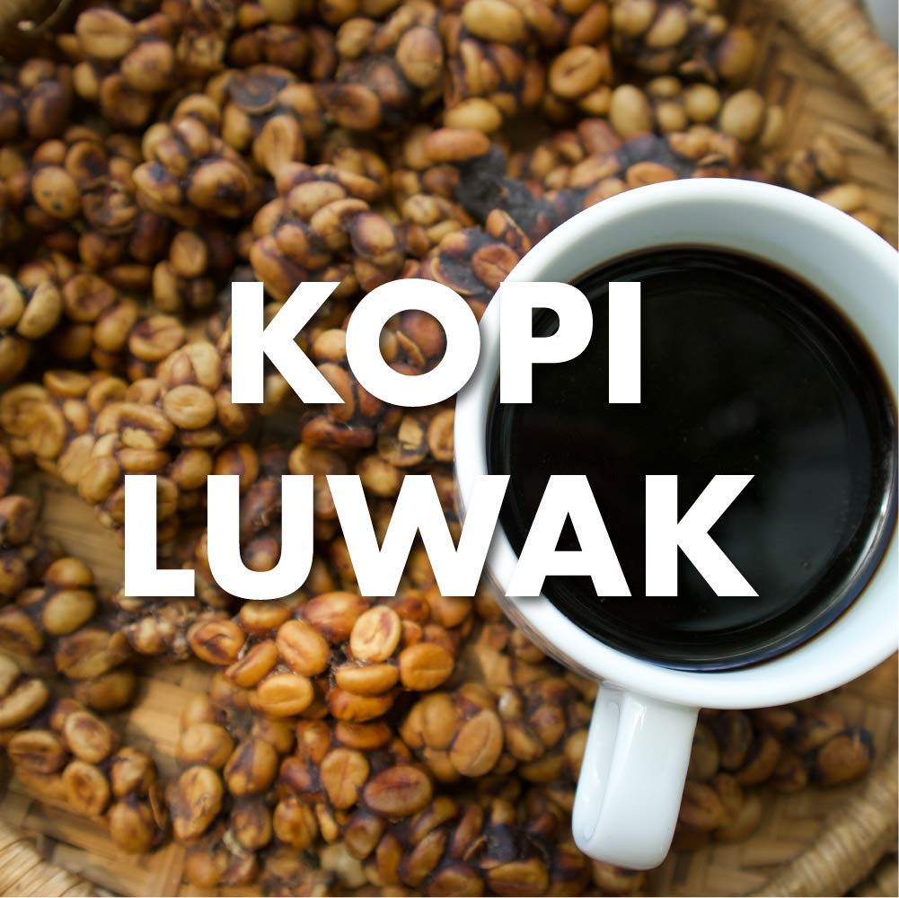 cuanto-cuesta-una-taza-de-cafe-kopi-luwak