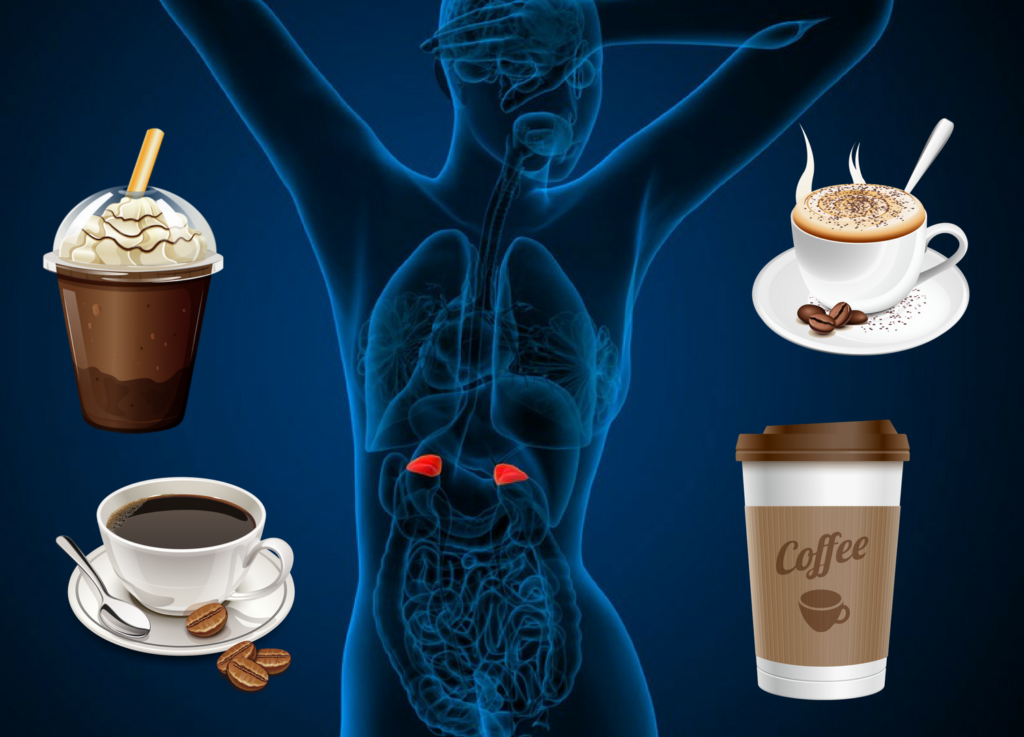 Que glandula afecta el café